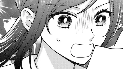 Thumbnail of Chapter 11.1