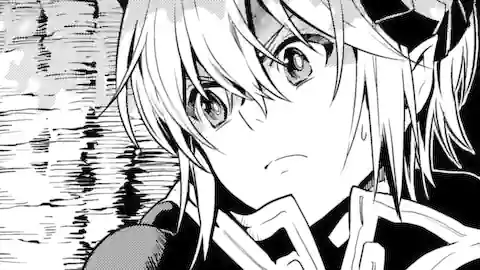 Thumbnail of Chapter 33.2