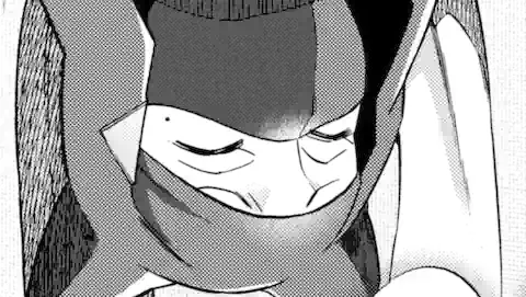 Thumbnail of Chapter 38.1