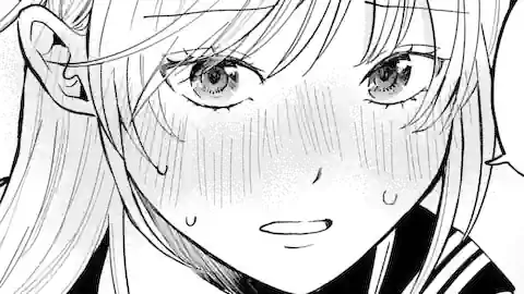 Thumbnail of Chapter 17.2