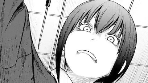 Thumbnail of Chapter 16.2