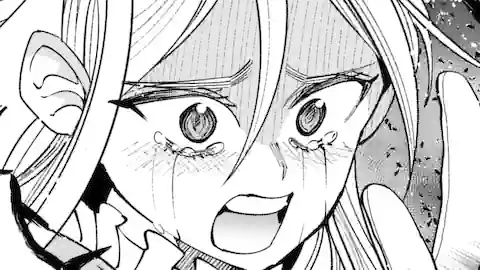 Thumbnail of Chapter 13.3