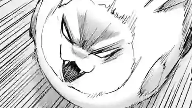 Thumbnail of Chapter 30.2