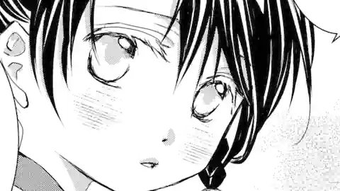 Thumbnail of Chapter 19.1