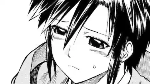 Thumbnail of Chapter 28.1