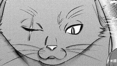 Thumbnail of Chapter 33.1