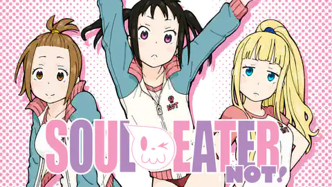 Cover of Soul Eater NOT!