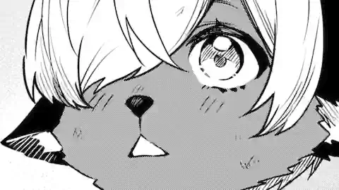 Thumbnail of Chapter 20.1