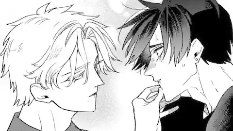 Thumbnail of Chapter 30.1