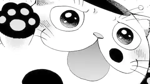 Thumbnail of Chapter 13