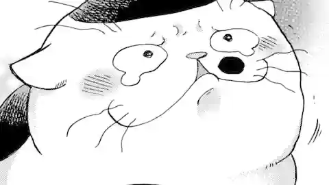 Thumbnail of Chapter 15 -1