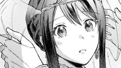 Thumbnail of Chapter 17.3