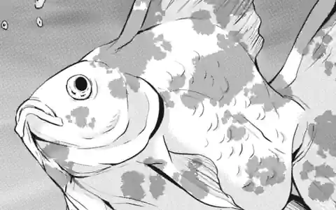 Thumbnail of Chapter 35-1