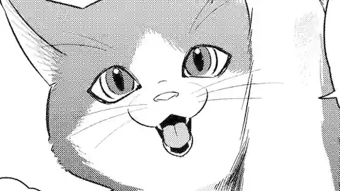 Thumbnail of Chapter 8.1