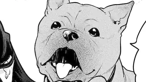 Thumbnail of Chapter 63.3