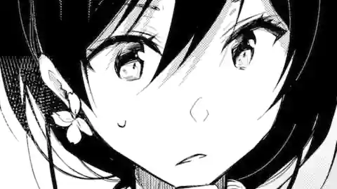 Thumbnail of Chapter 16.1