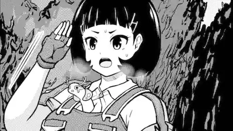 Thumbnail of Chapter 80.1