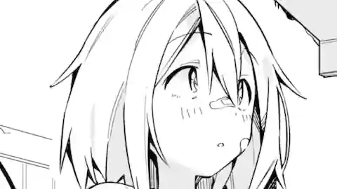 Thumbnail of Chapter 12.3