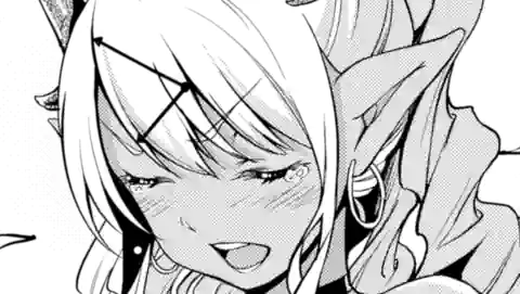 Thumbnail of Chapter 19.1