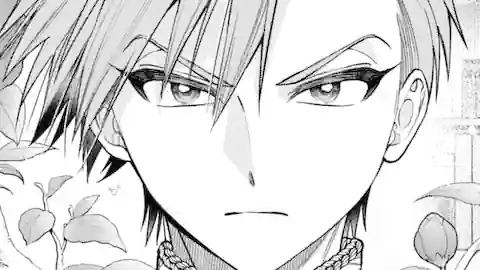 Thumbnail of Chapter 19.1
