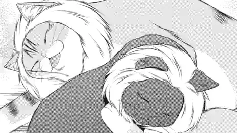 Thumbnail of Chapter 11 -2