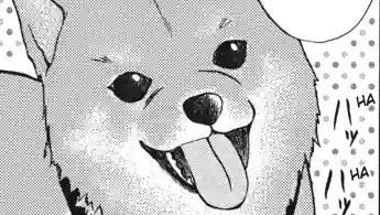 Thumbnail of Chapter 62 -1