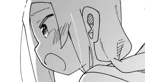 Thumbnail of Chapter 163.3