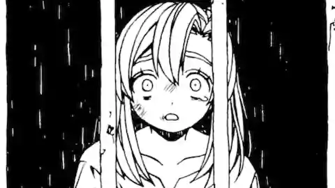 Thumbnail of Chapter 25.3