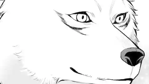 Thumbnail of Chapter 41.3